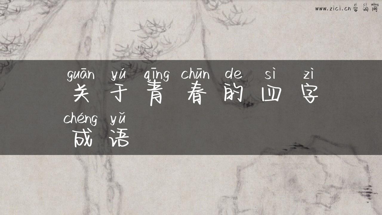 关于青春的四字成语