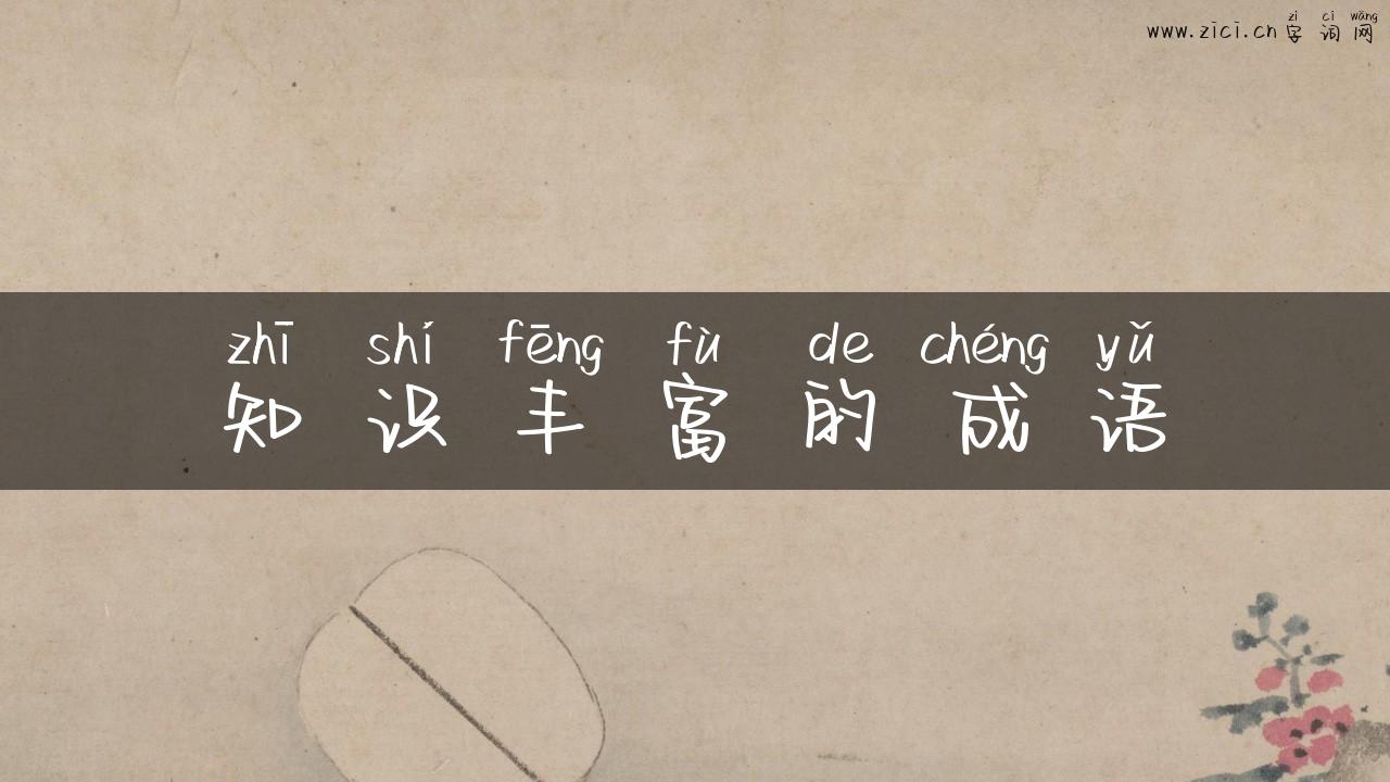 知识丰富的成语