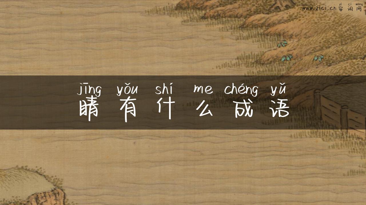 睛有什么成语