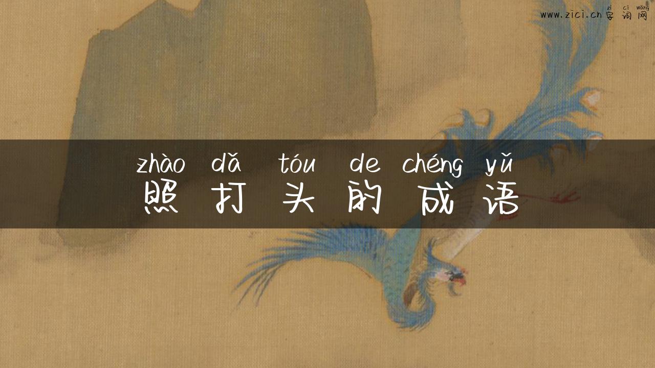 照打头的成语