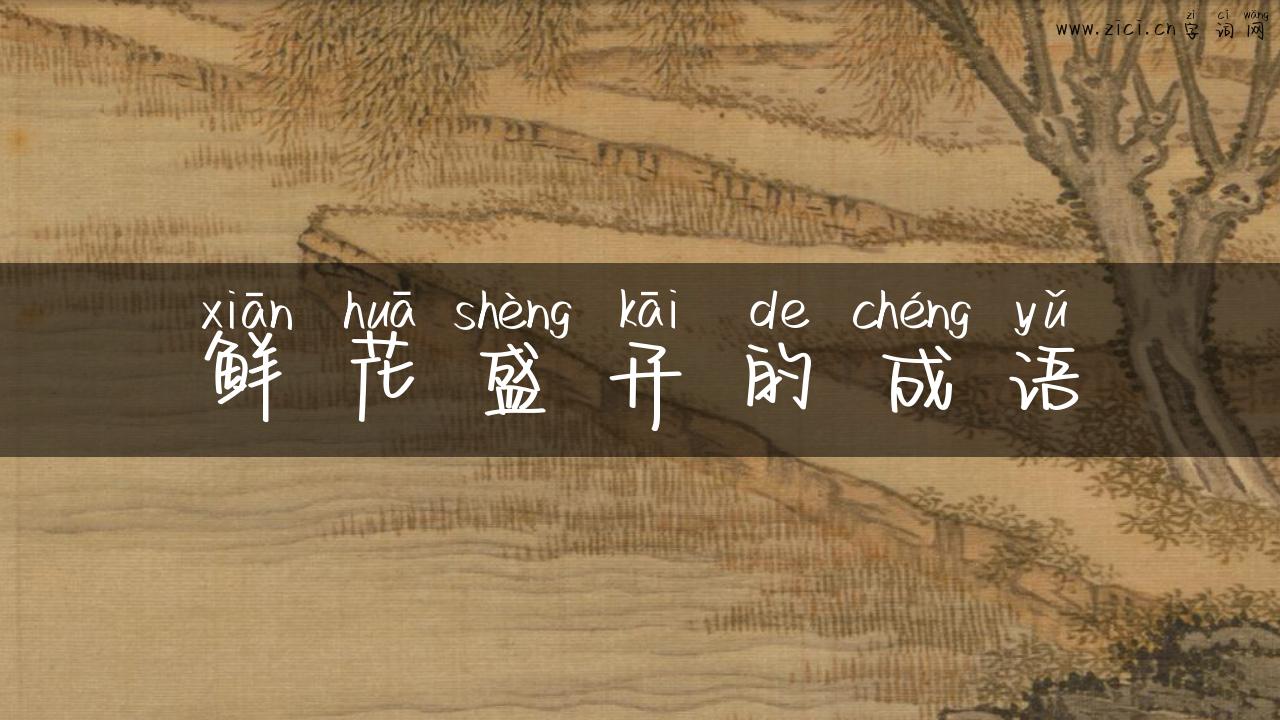鲜花盛开的成语