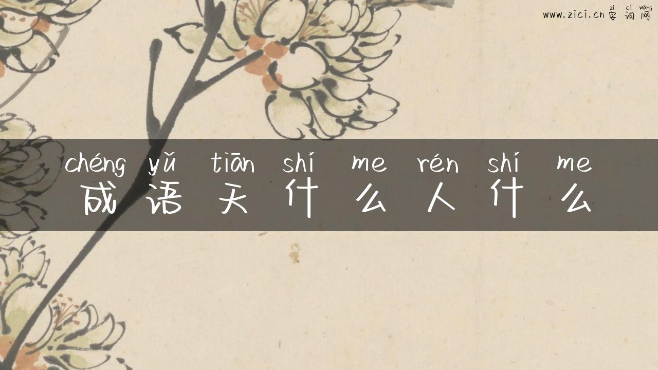 成语天什么人什么