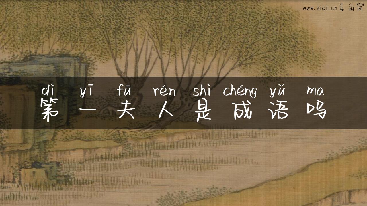 第一夫人是成语吗