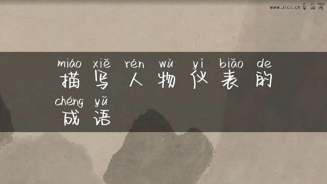 描写人物仪表的成语
