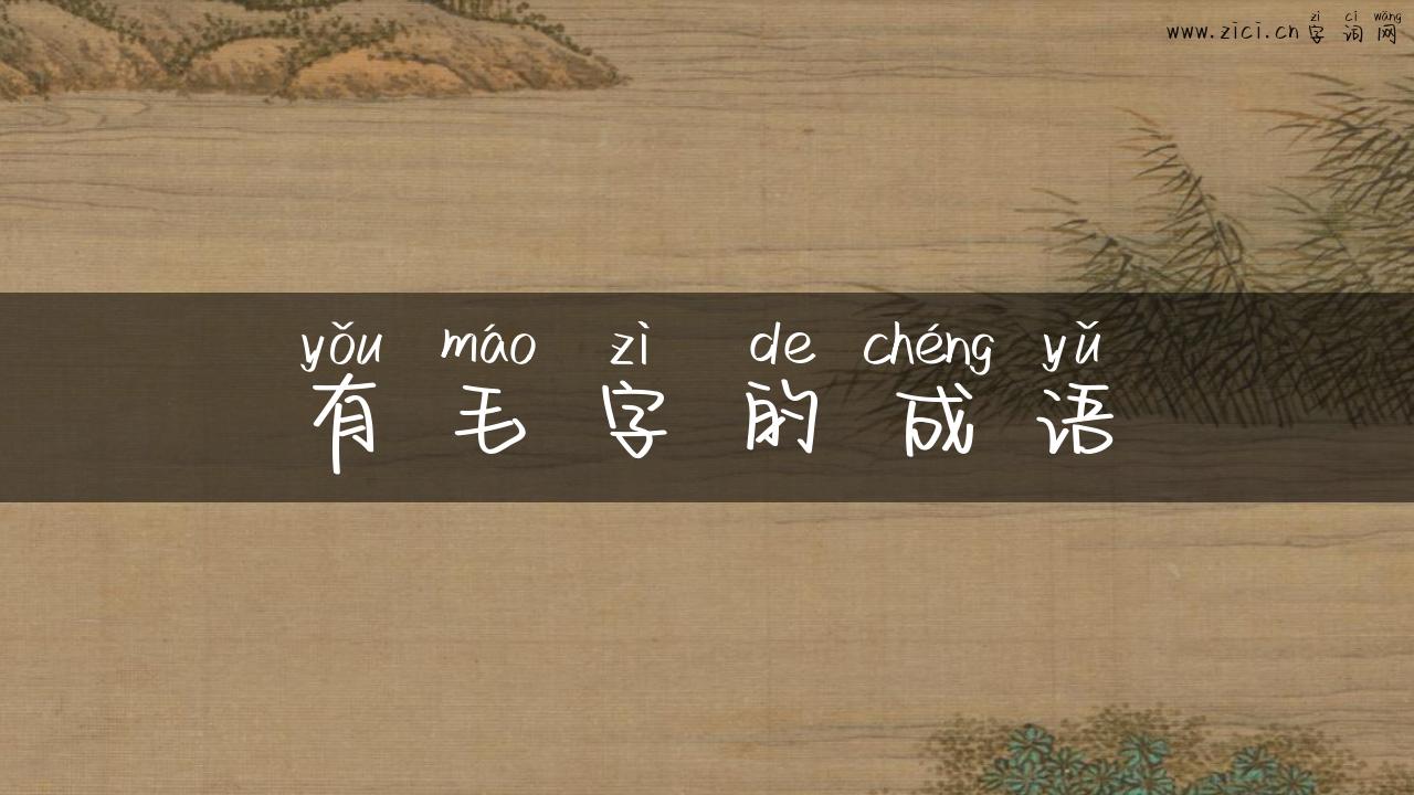 有毛字的成语