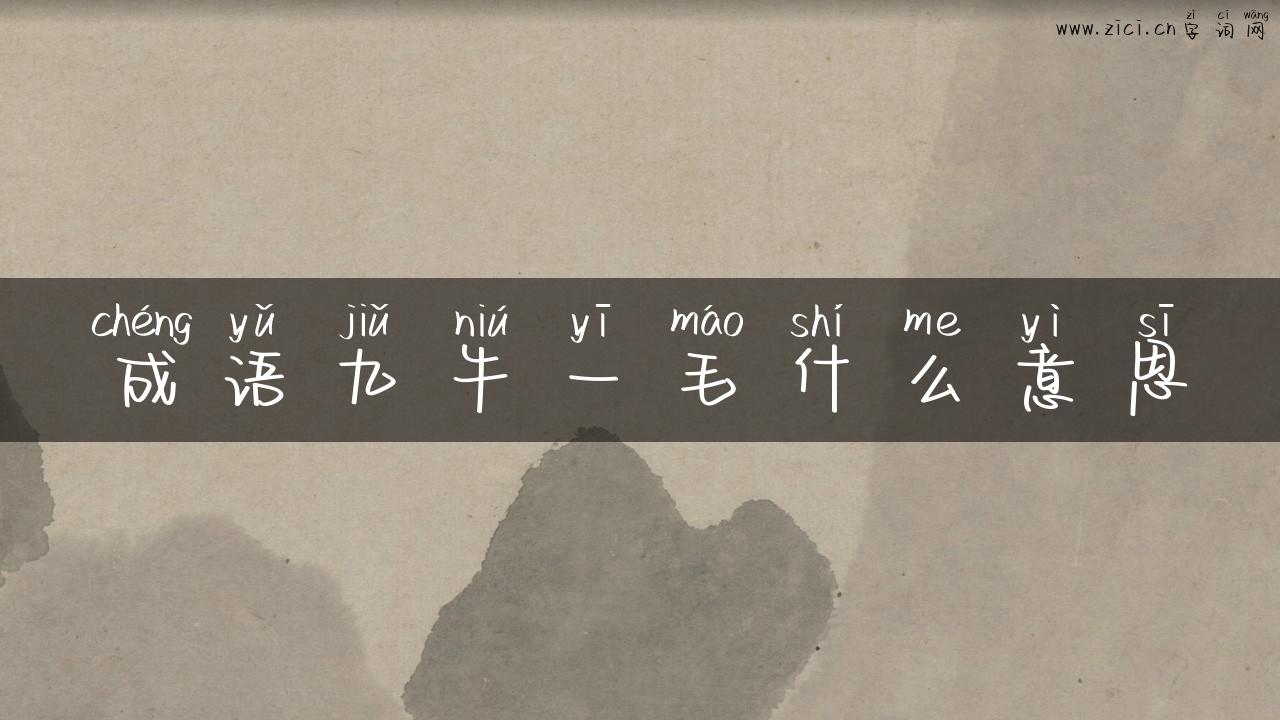 成语九牛一毛什么意思