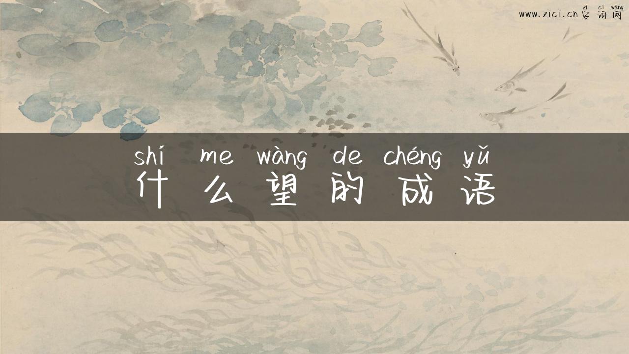 什么望的成语