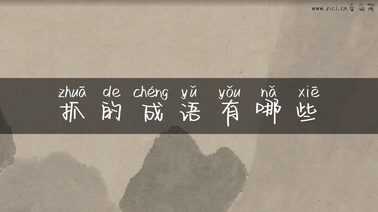 抓的成语有哪些