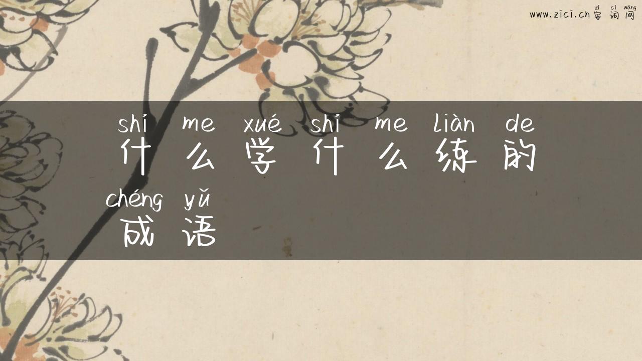什么学什么练的成语