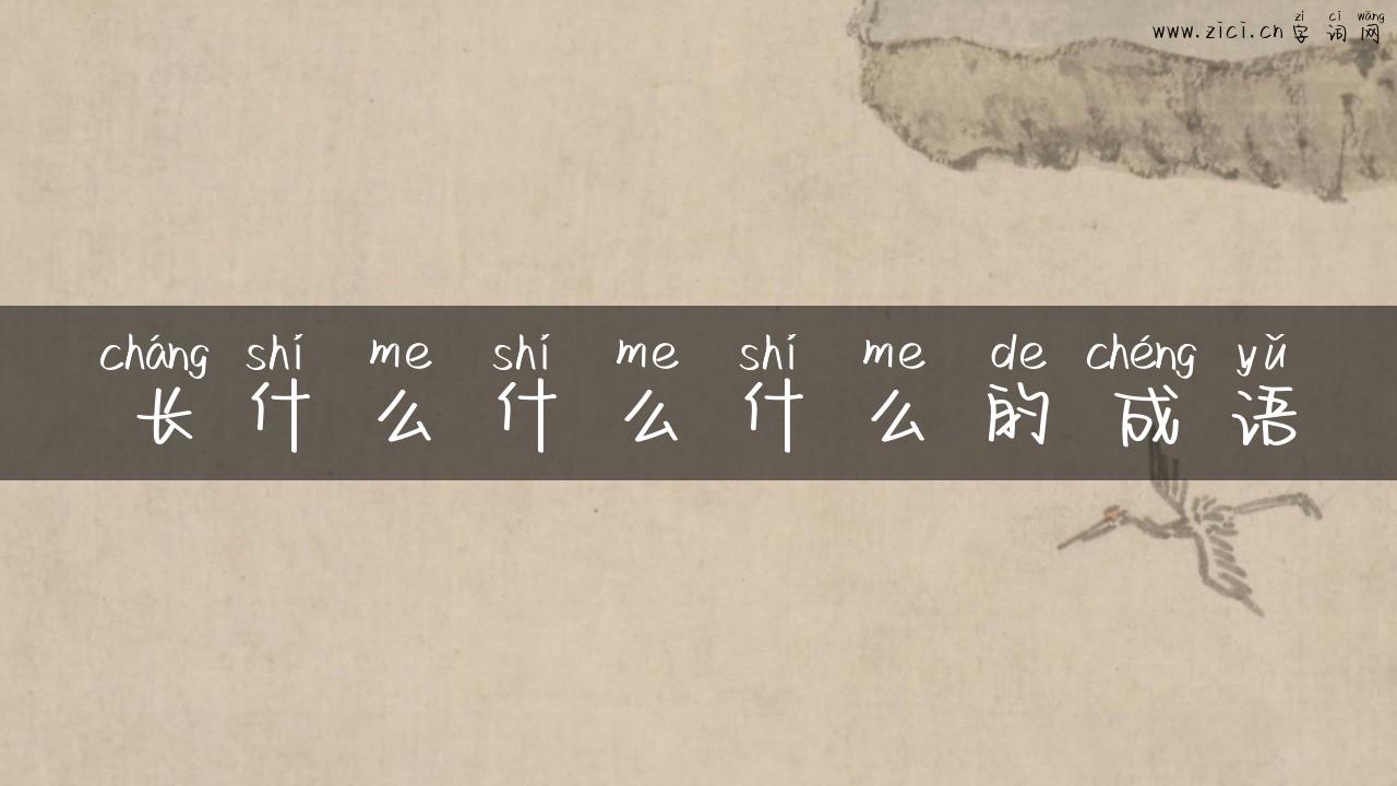 长什么什么什么的成语