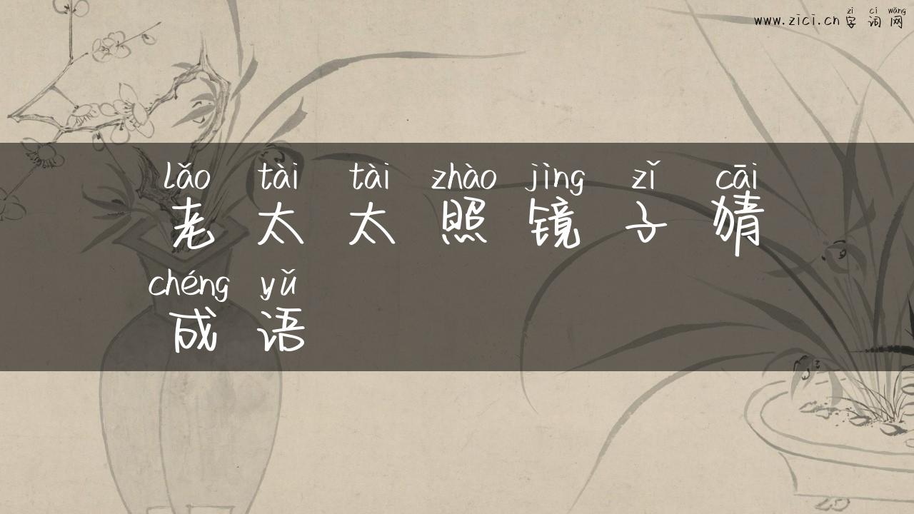 老太太照镜子猜成语