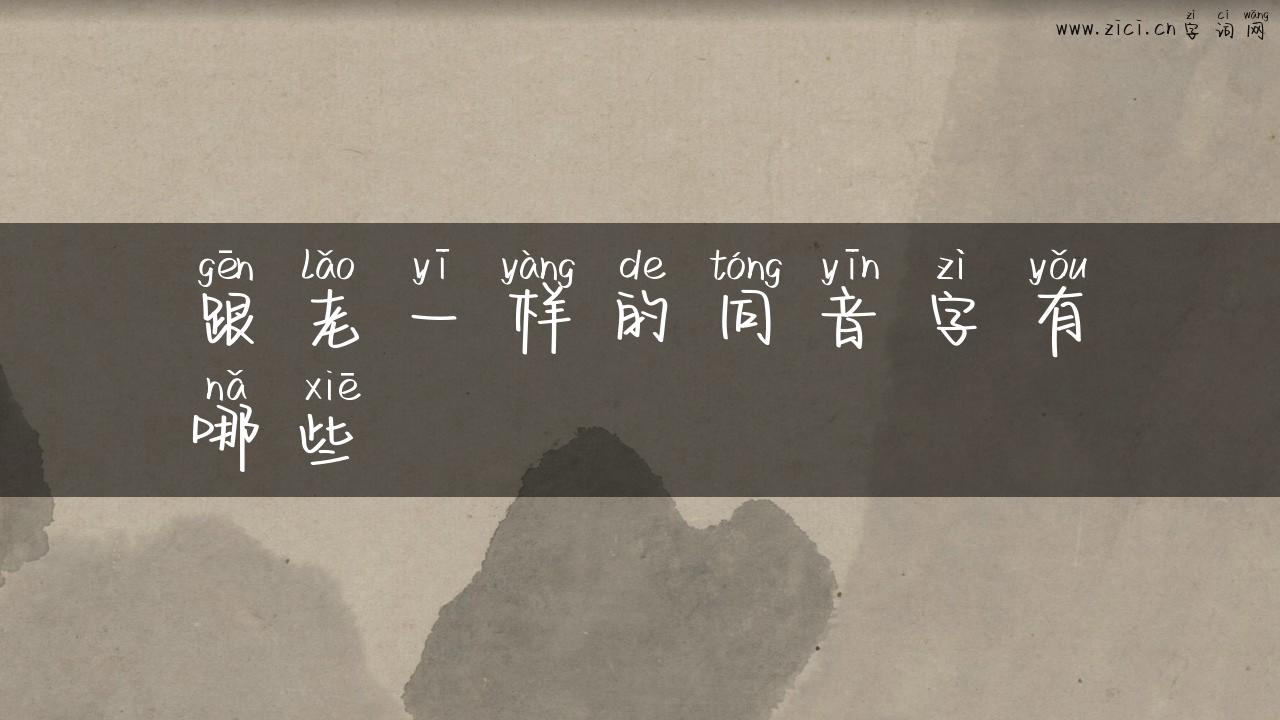 跟老一样的同音字有哪些