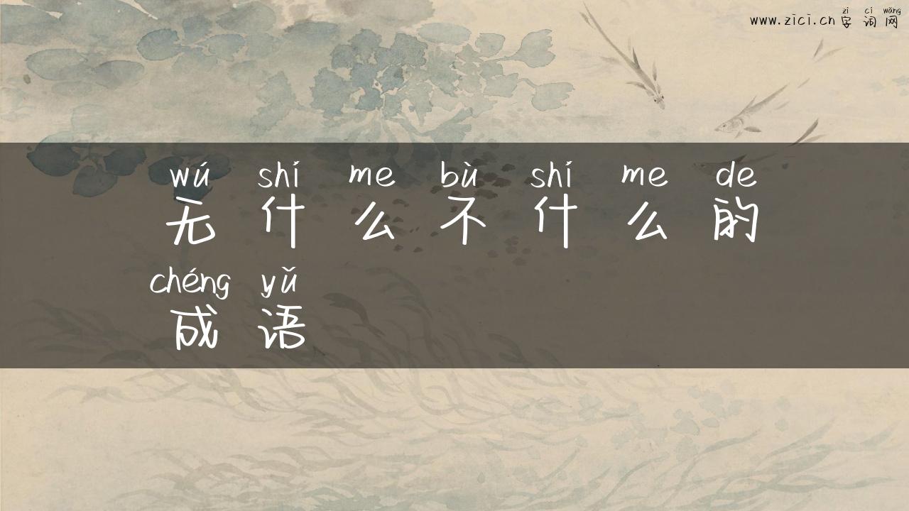 无什么不什么的成语