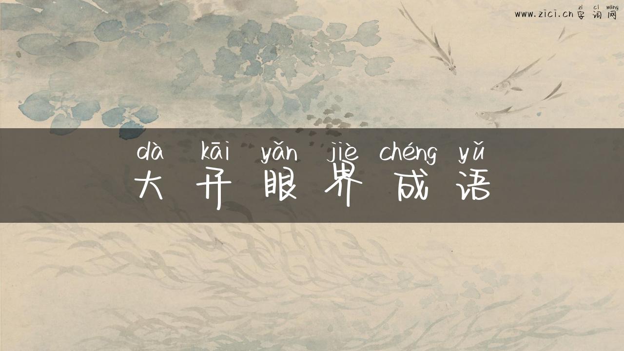 大开眼界成语