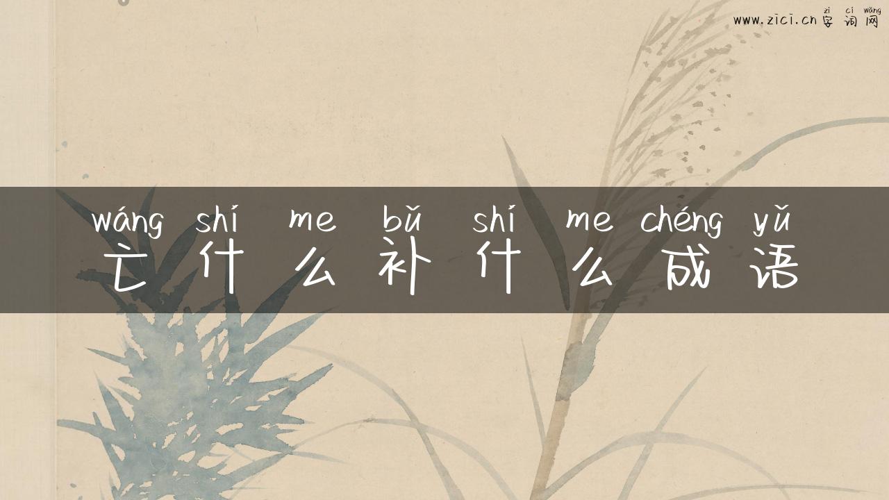 亡什么补什么成语