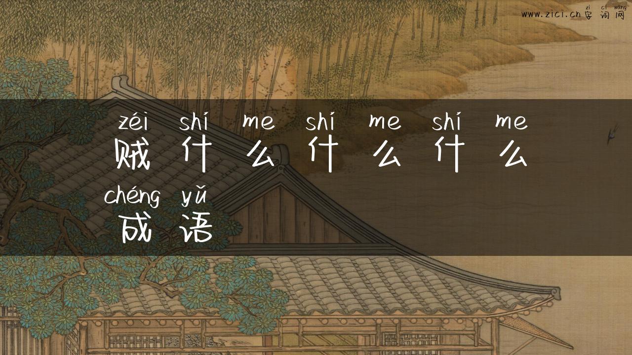 贼什么什么什么成语