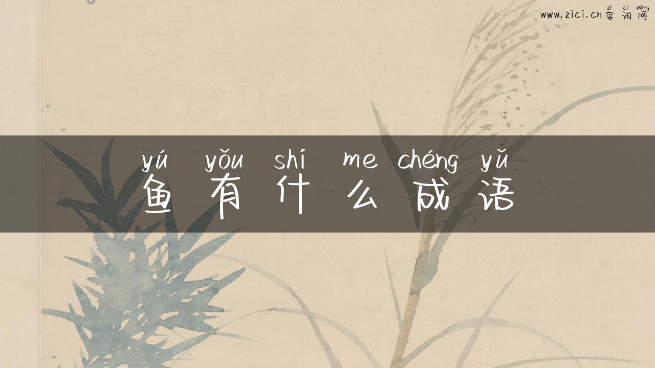 鱼有什么成语