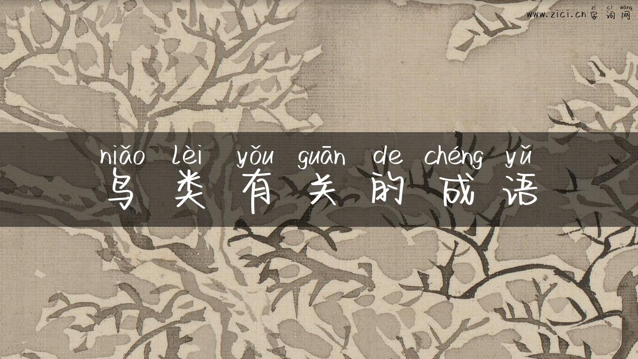 鸟类有关的成语