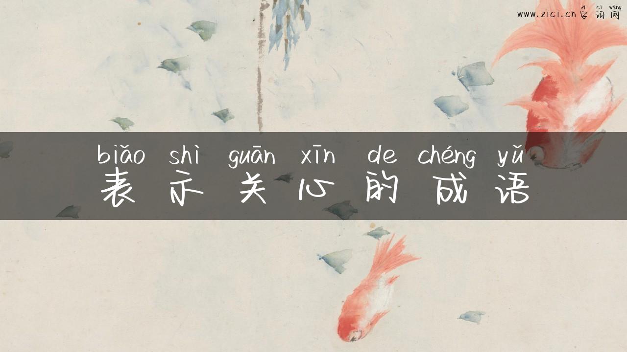 表示关心的成语