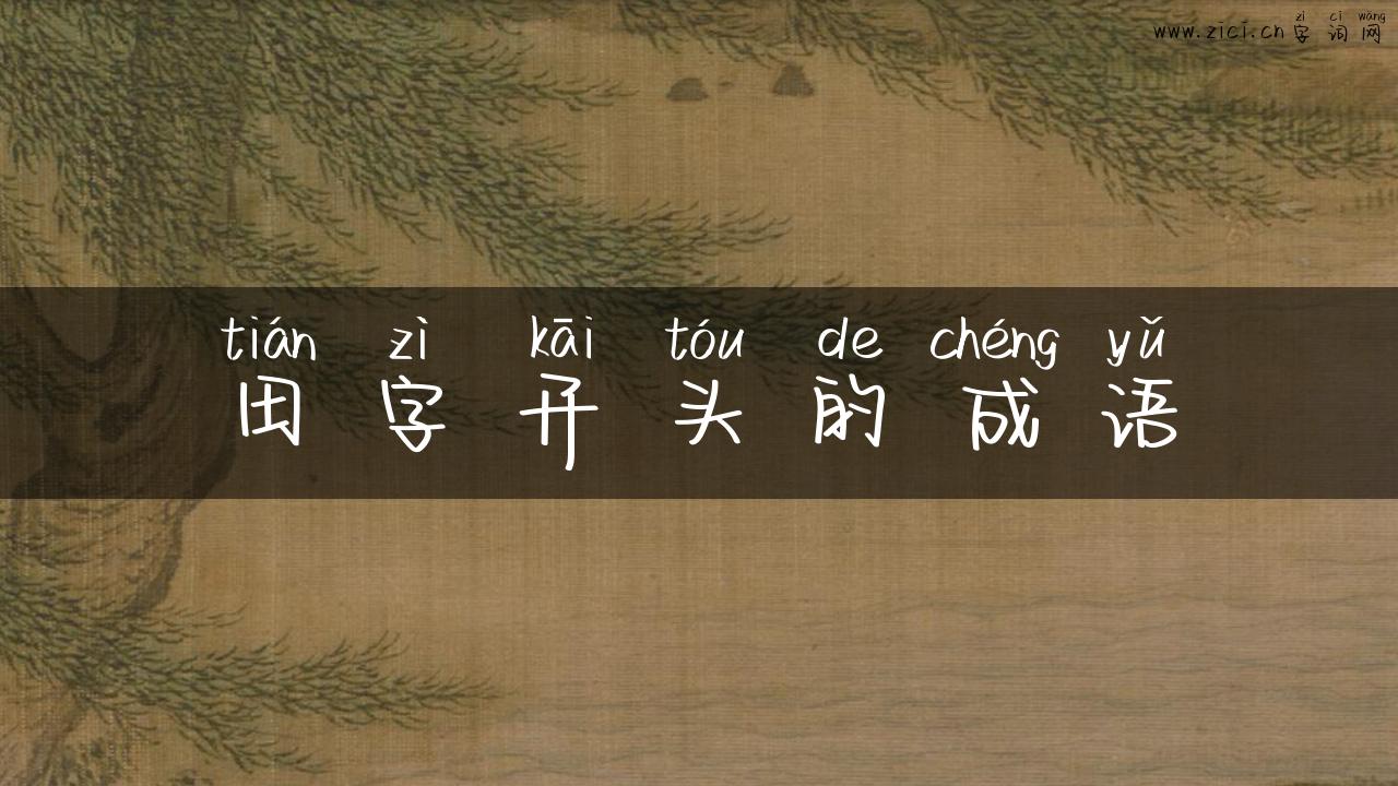 田字开头的成语
