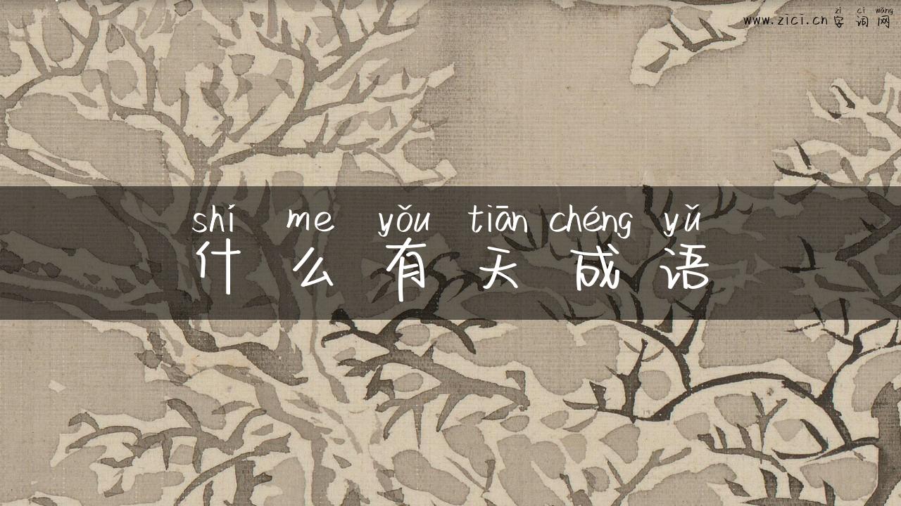 什么有天成语