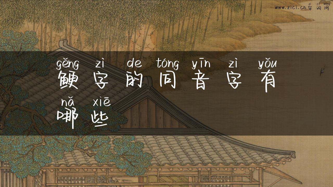 鲠字的同音字有哪些