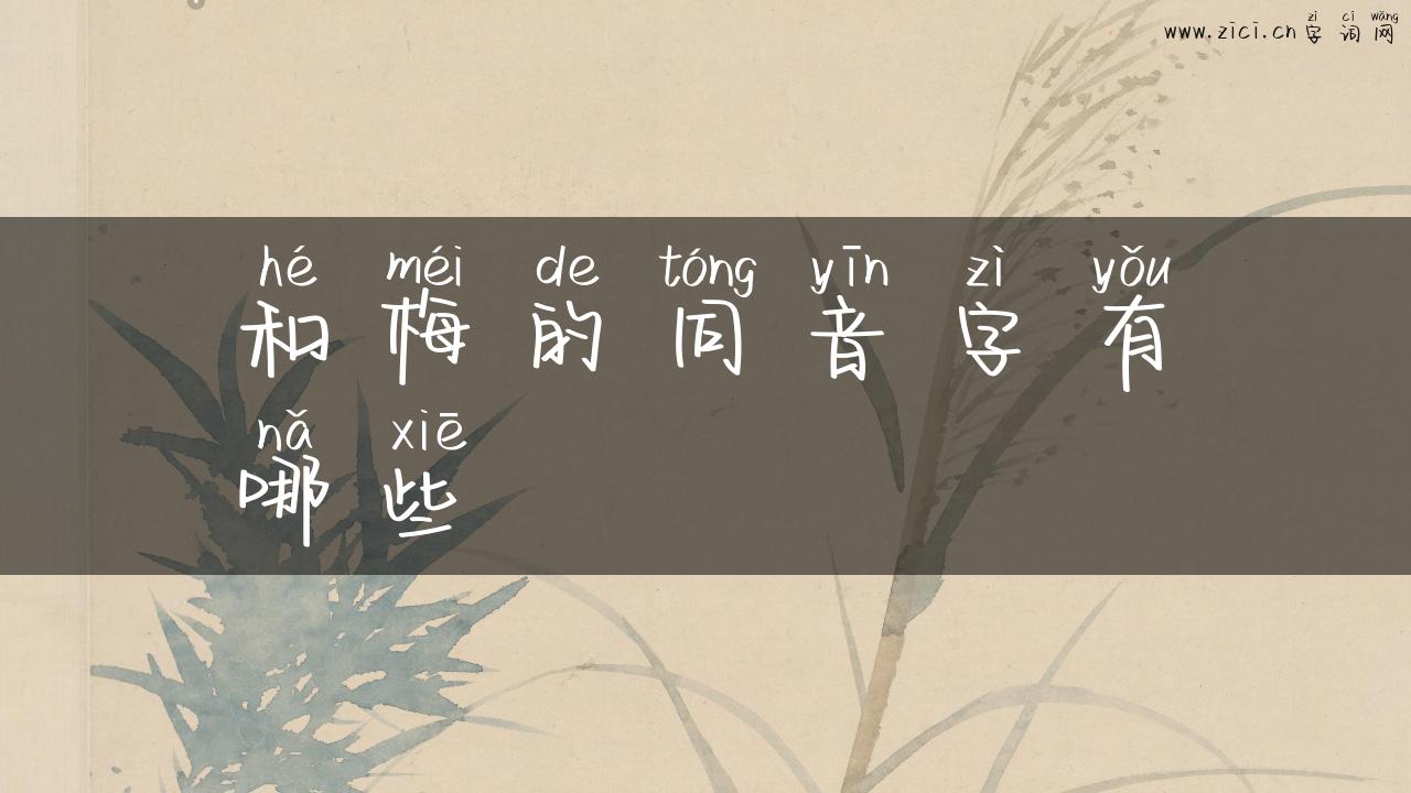 和梅的同音字有哪些