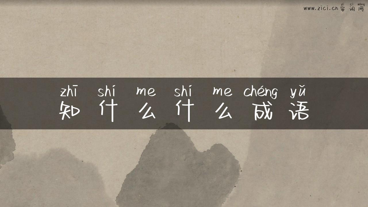 知什么什么成语