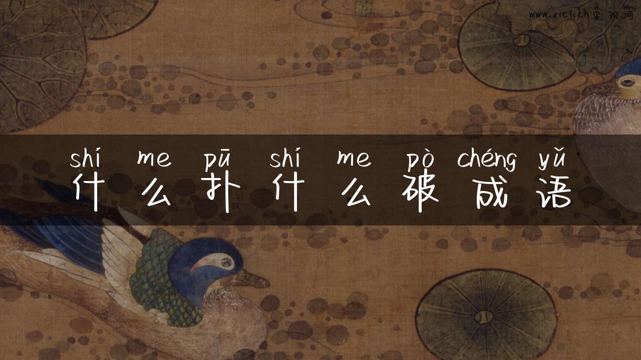 什么扑什么破成语