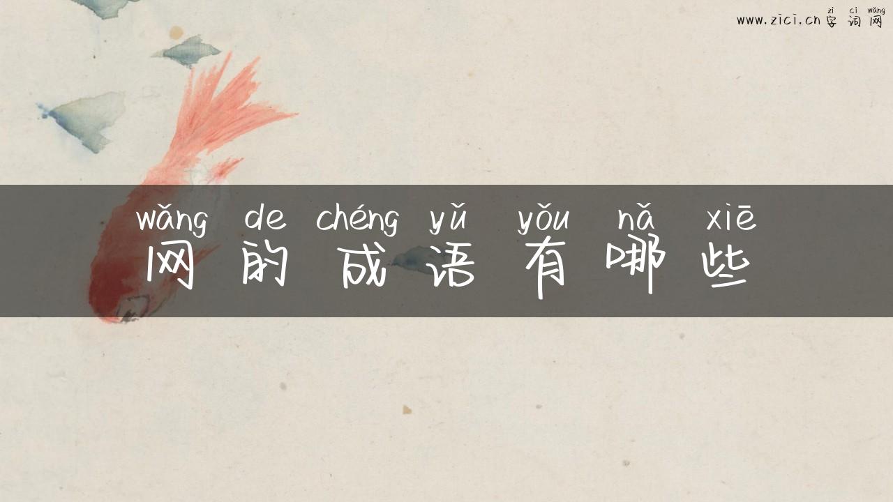 网的成语有哪些