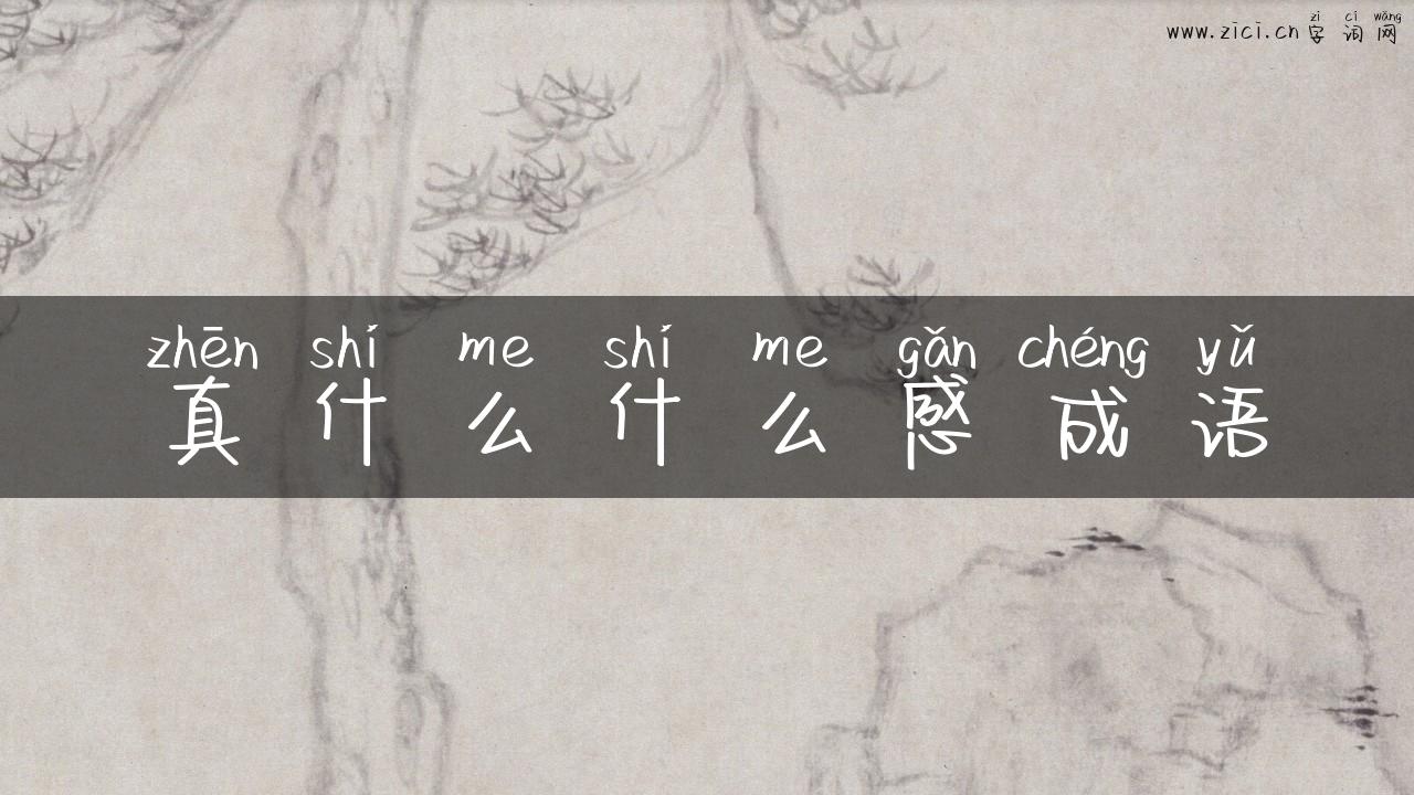 真什么什么感成语