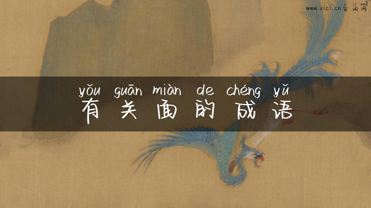 有关面的成语