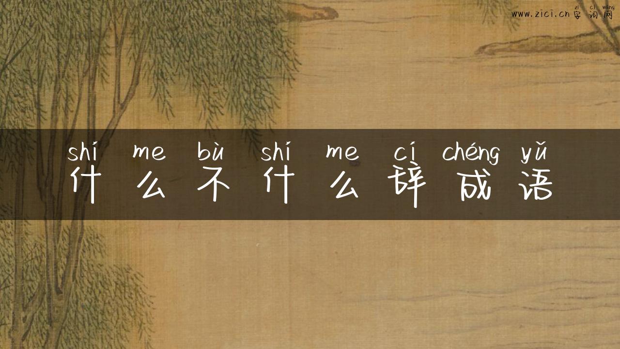 什么不什么辞成语