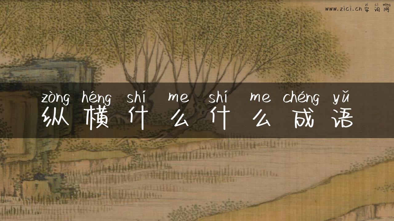 纵横什么什么成语