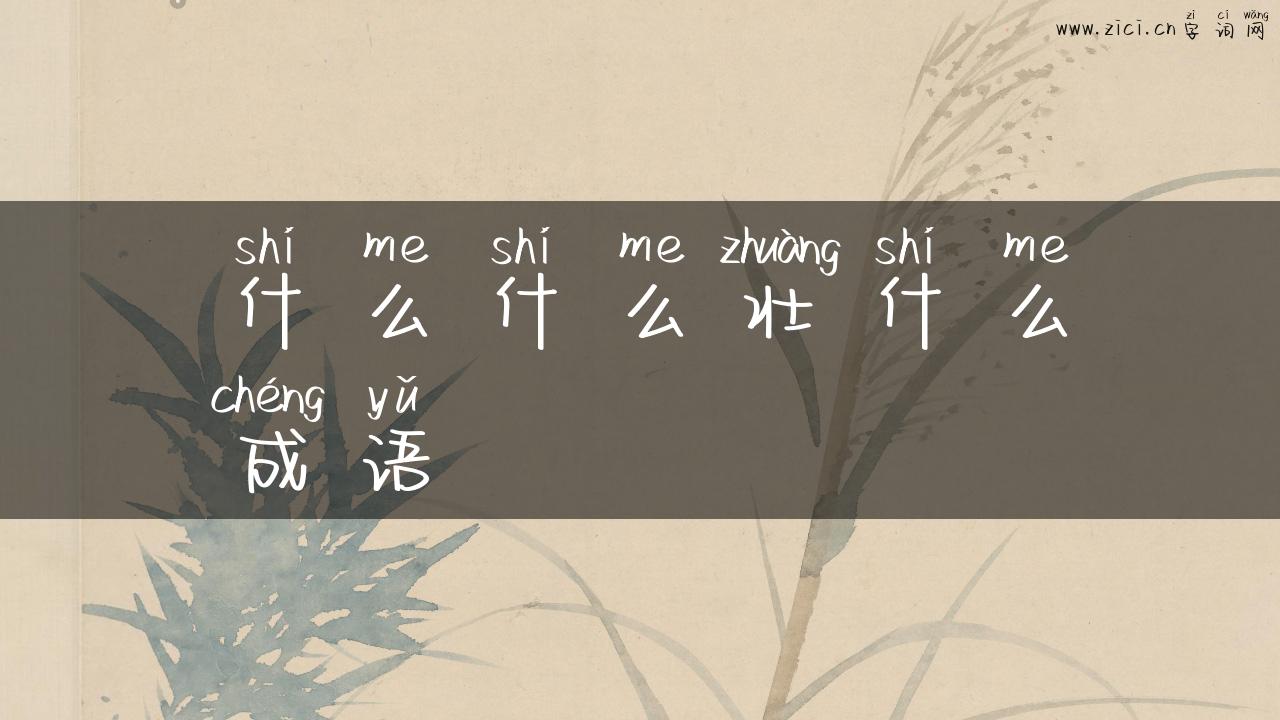 什么什么壮什么成语