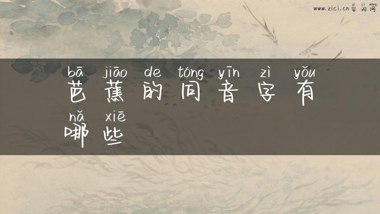 芭蕉的同音字有哪些