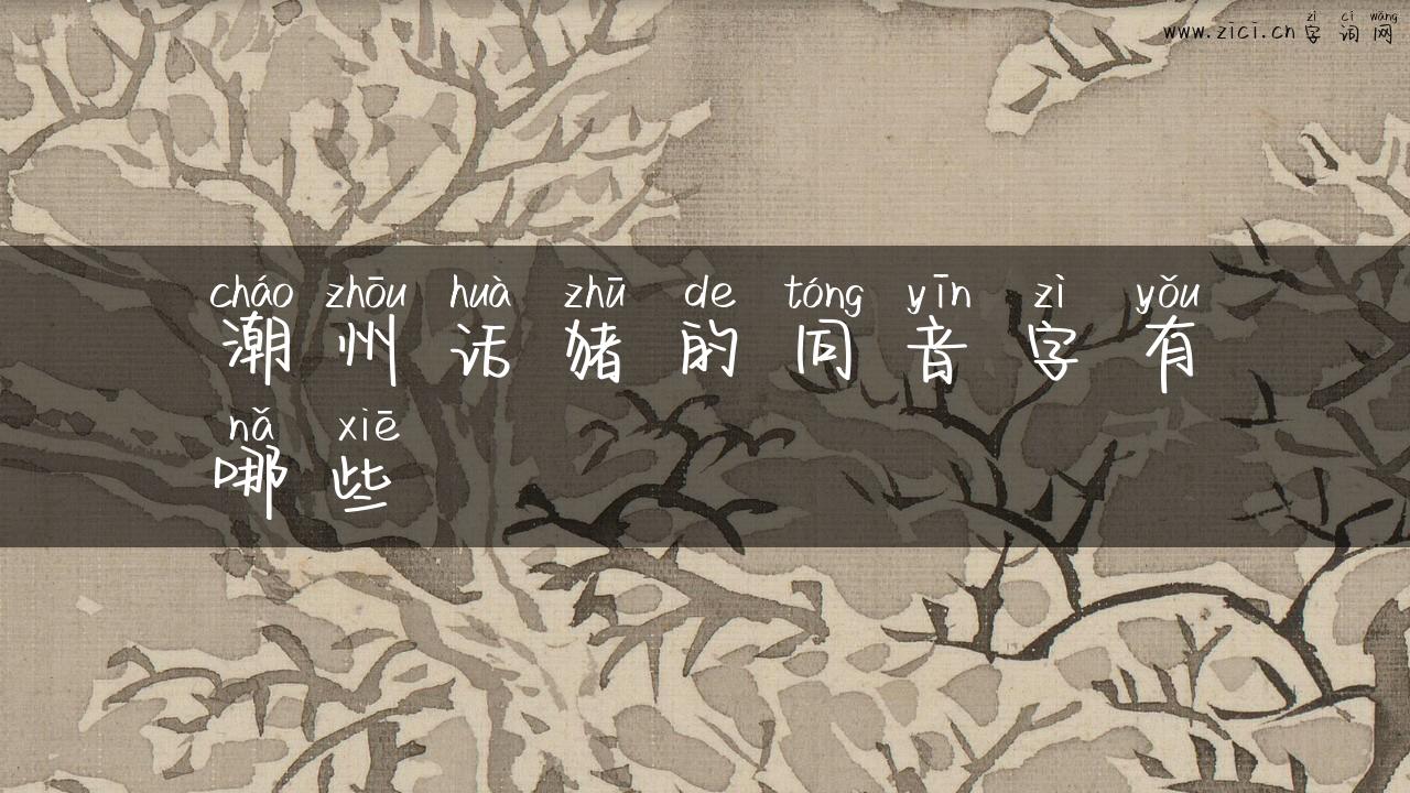 潮州话猪的同音字有哪些