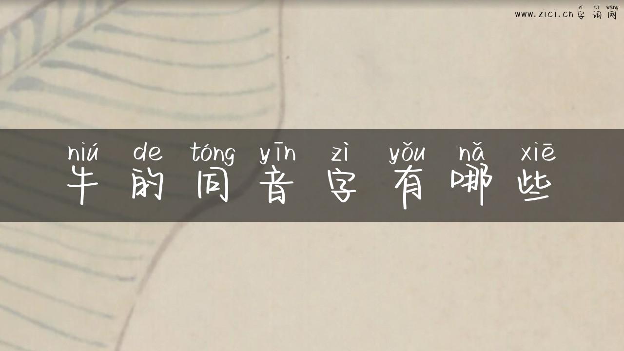 牛的同音字有哪些