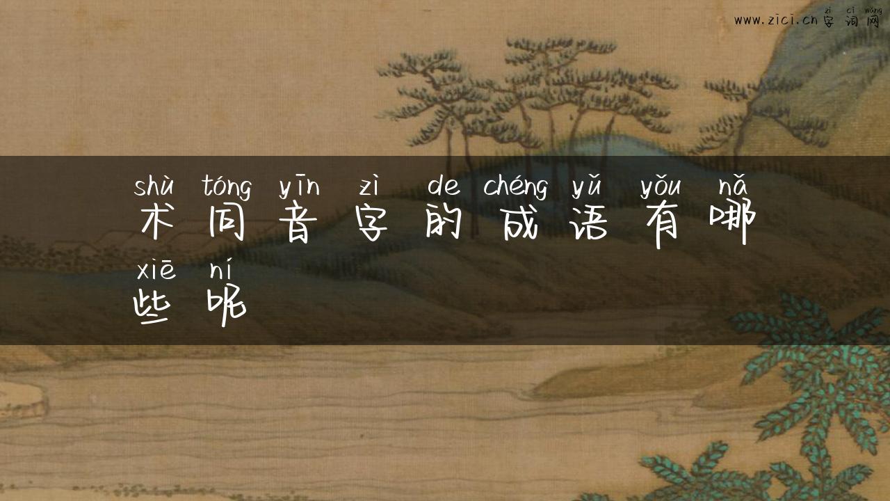 术同音字的成语有哪些呢