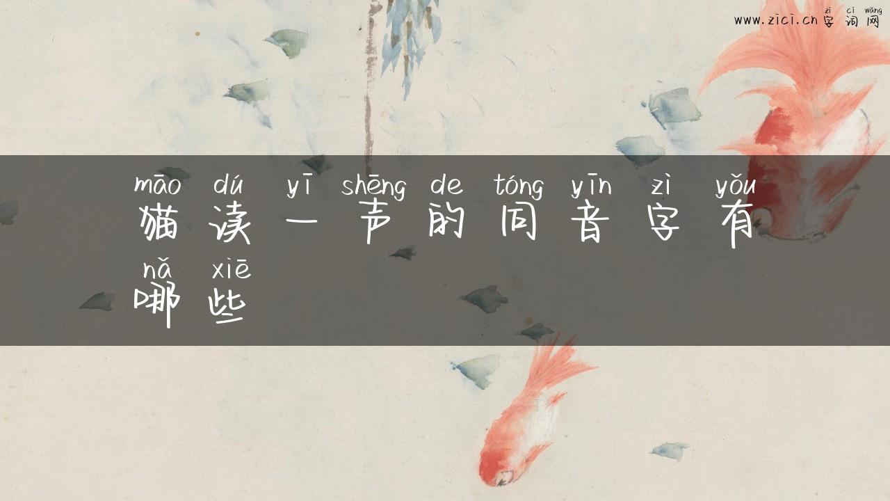 猫读一声的同音字有哪些