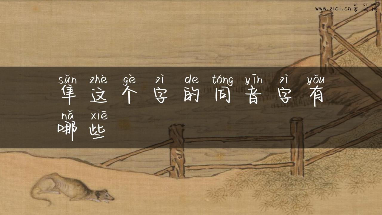 隼这个字的同音字有哪些