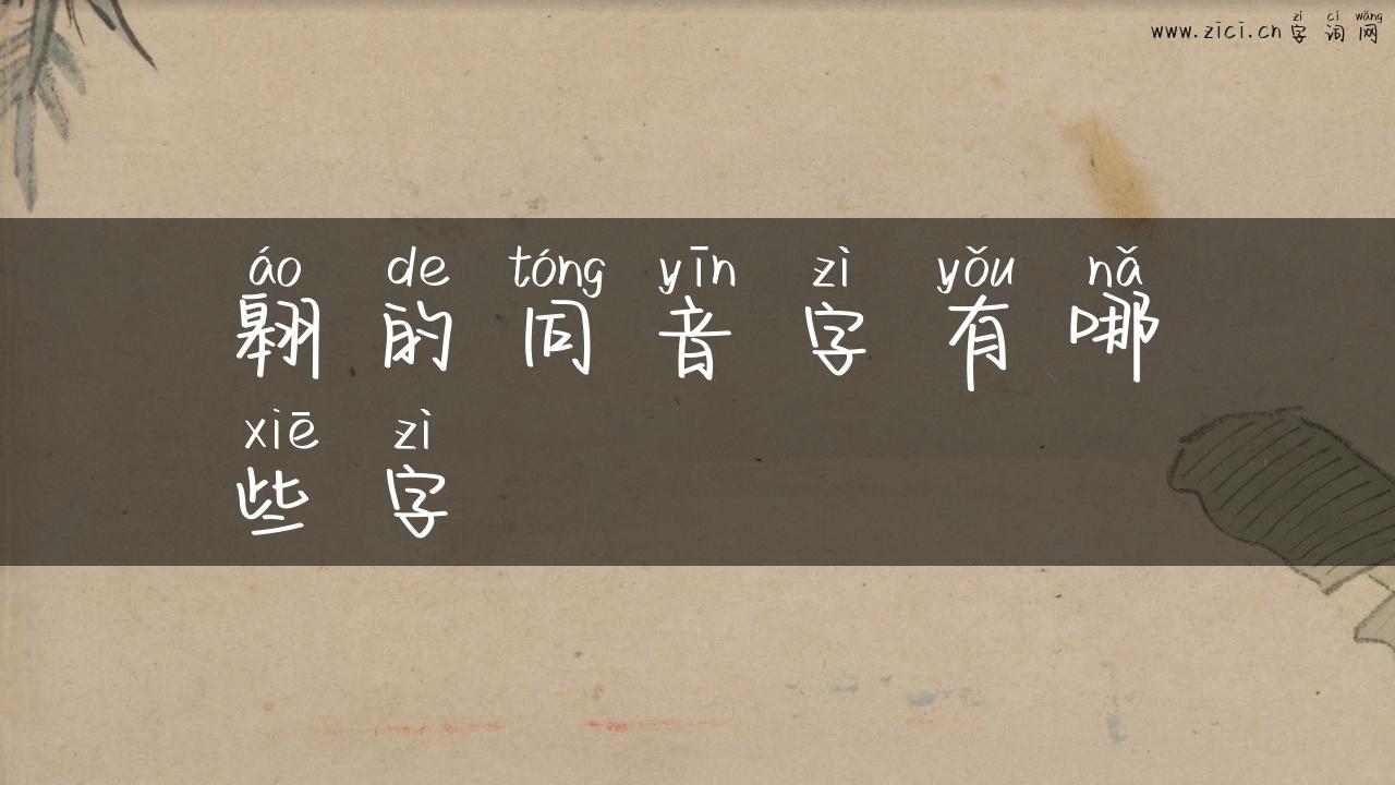 翱的同音字有哪些字