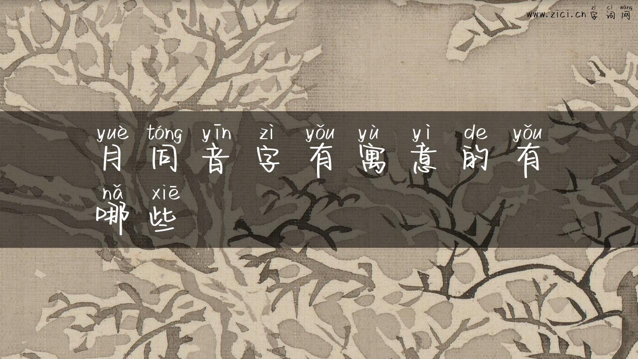 月同音字有寓意的有哪些