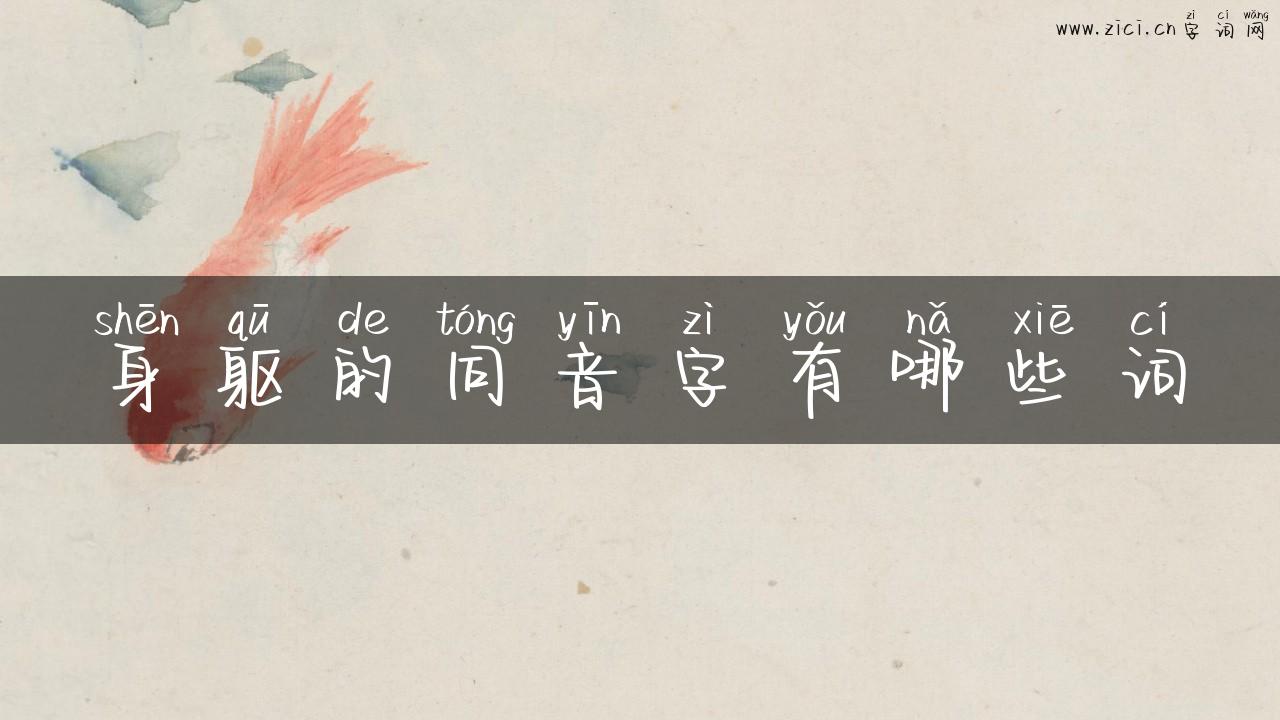身躯的同音字有哪些词