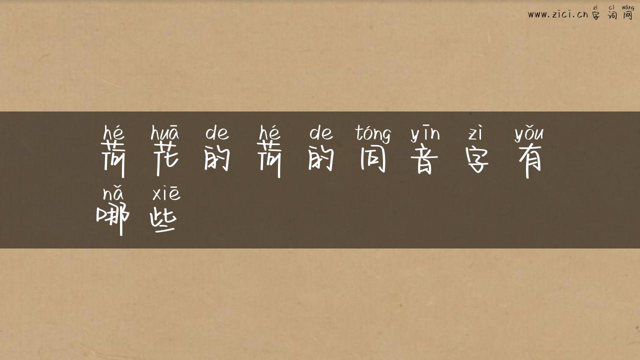 荷花的荷的同音字有哪些
