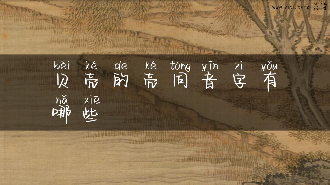 贝壳的壳同音字有哪些