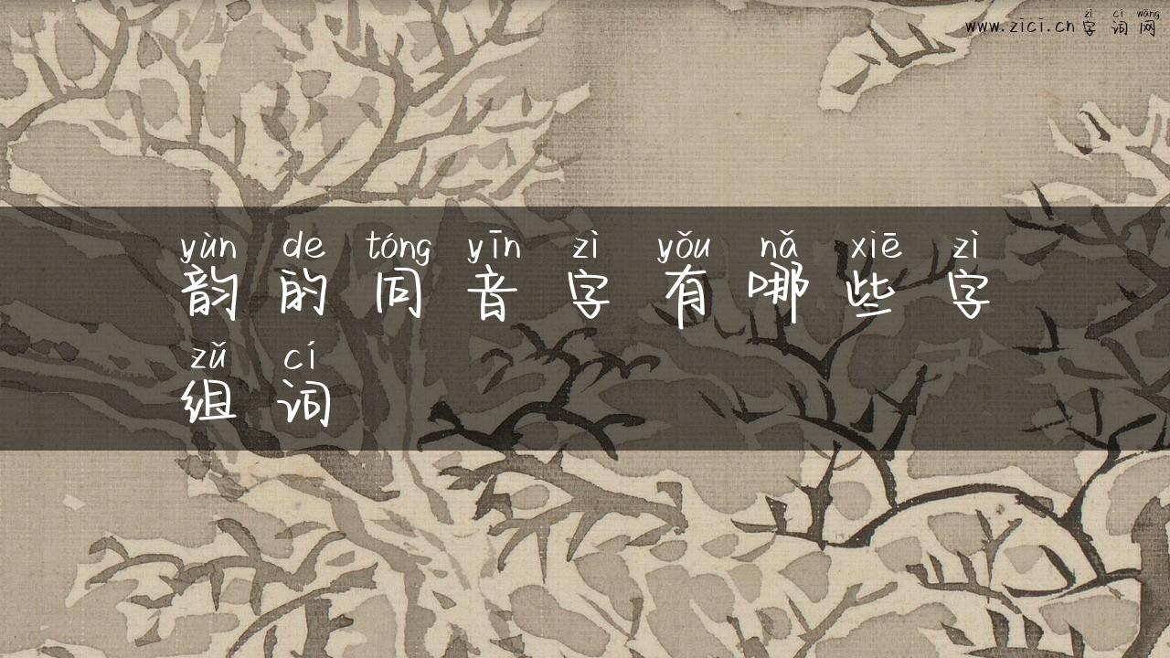 韵的同音字有哪些字组词