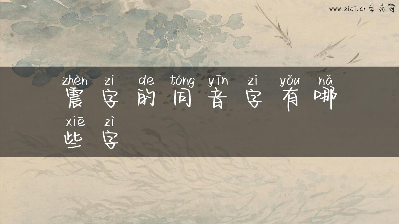 震字的同音字有哪些字