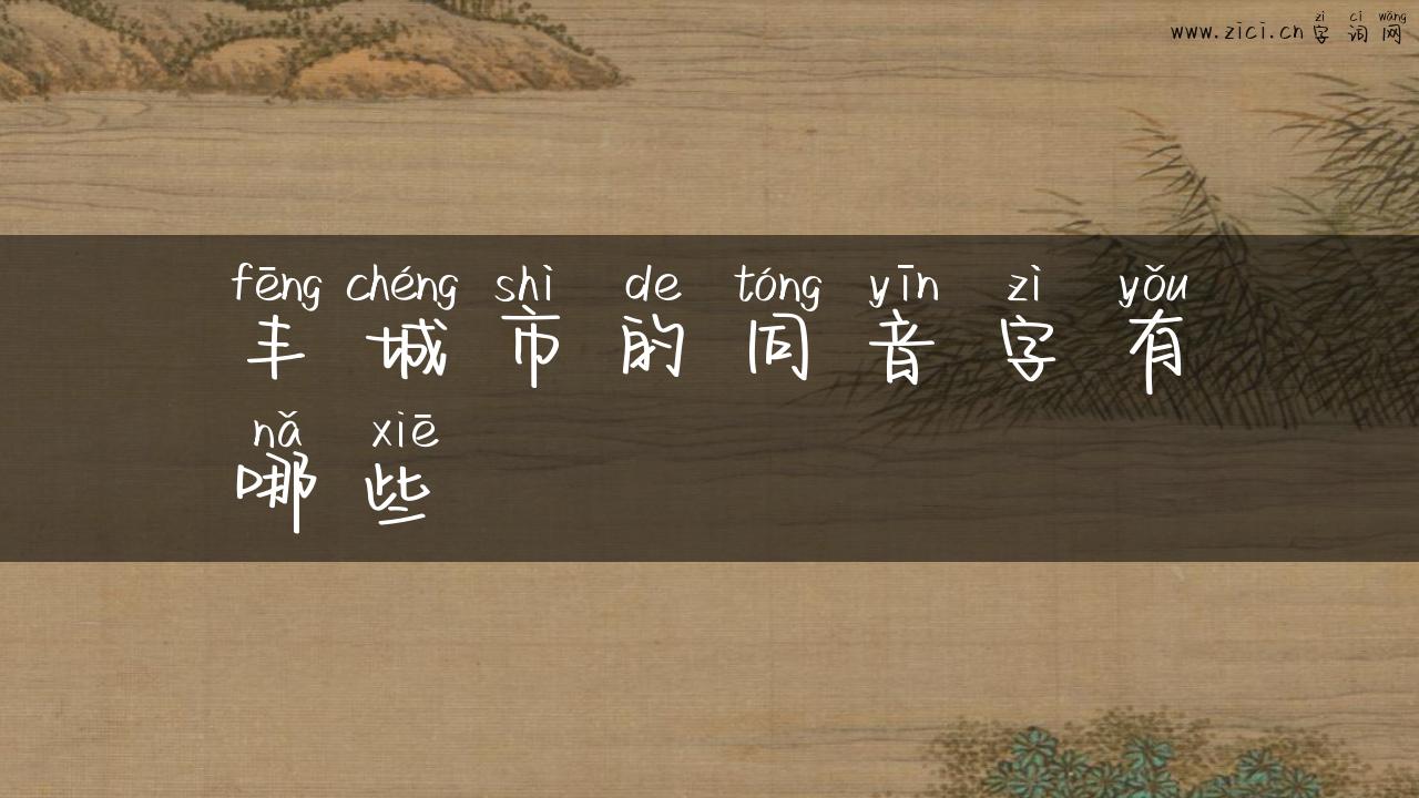 丰城市的同音字有哪些