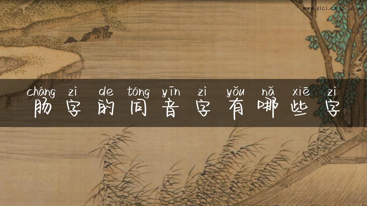 肠字的同音字有哪些字